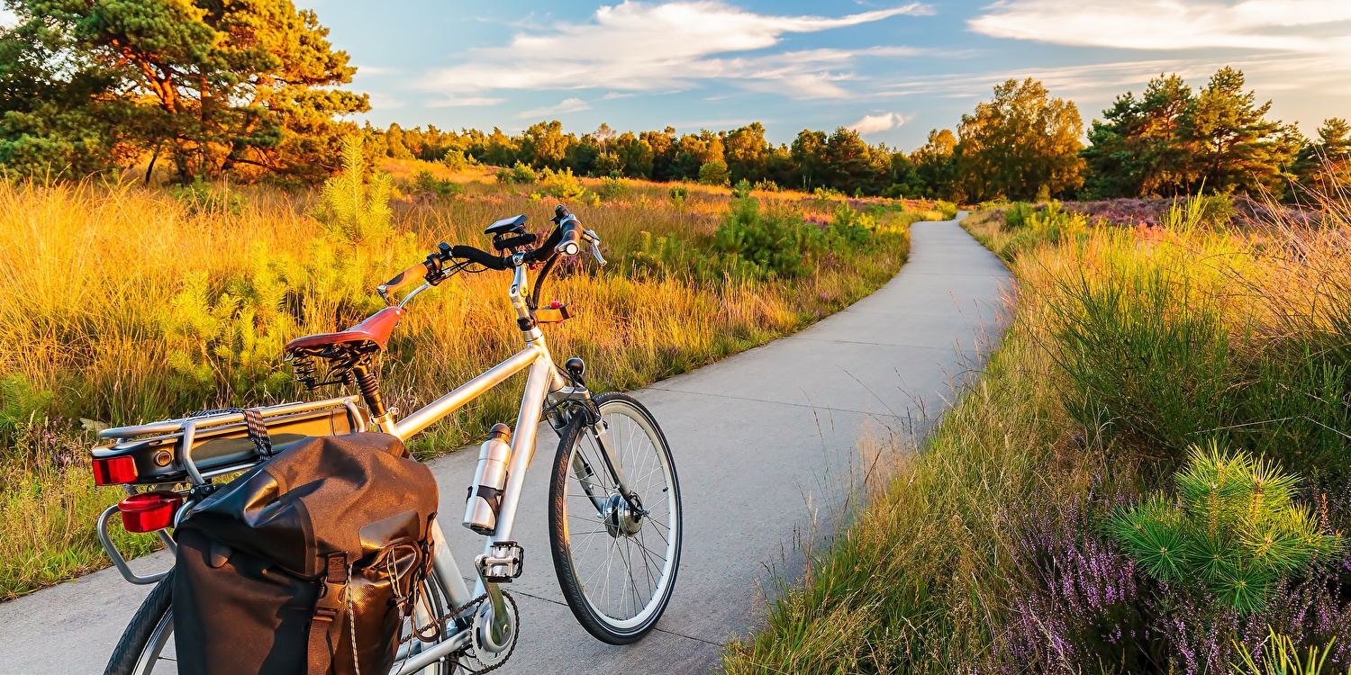 Een herenfiets staat stil op een pad te midden van een veld, omgeven door een rustige en natuurlijke omgeving.