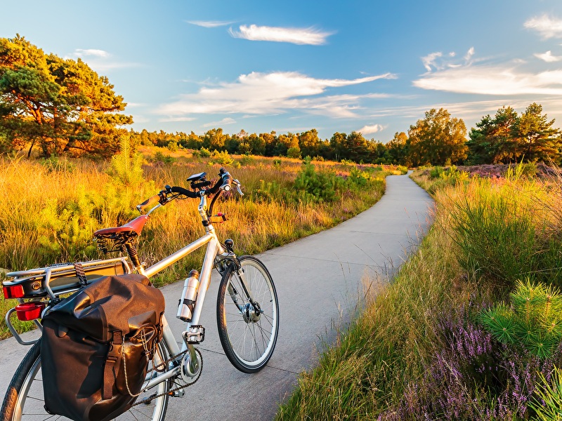 Een herenfiets staat stil op een pad te midden van een veld, omgeven door een rustige en natuurlijke omgeving.